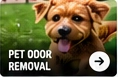 Pet odor